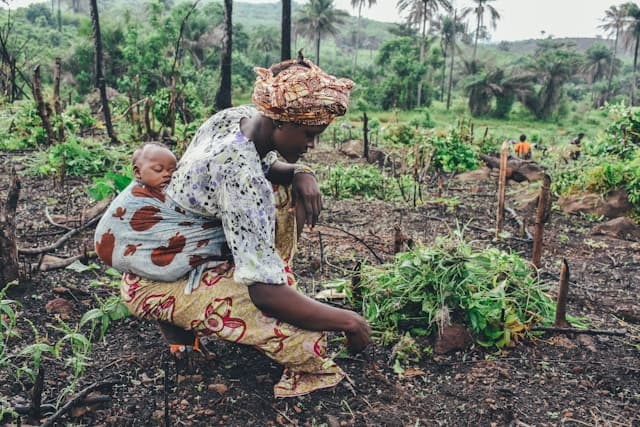 Le pouvoir des petits gestes écologiques 🌱